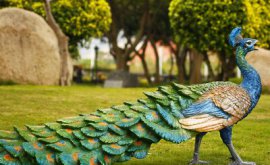 簡(jiǎn)述城市雕塑的紀(jì)念性、裝飾性和標(biāo)志性